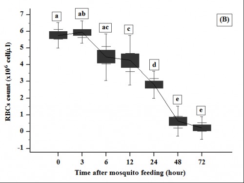Effect of adult female <em>Culex</em> age on temporal pattern of degradation of RBCs in human blood drawn from mosquito with adult age (B) 2 days . After blood feeding for 30 minutes, mosquitoes were cultured in 28Â±1 Â°C and RBCs were counted at 0 (immediate count), 6 hour after blood ingestion. Error bars represent standard deviations of three measurements. Different letters above error bars represent significant difference among means at type error = 0.05 (ANOVA)