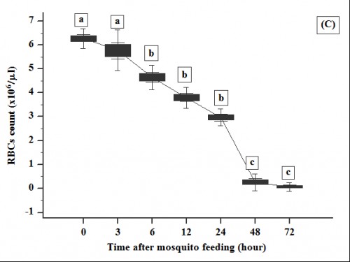 Effect of adult female <em>Culex</em> age on temporal pattern of degradation of RBCs in human blood drawn frommosquito with adult age (C) 4 days. After blood feeding for 30 minutes,mosquitoes were cultured in 28Â±1 Â°C and RBCs were counted at 0 (immediatecount),6 hour after blood ingestion. Error bars represent standard deviations of three measurements. Different letters above error bars represent significant difference among means at type error = 0.05 (ANOVA)