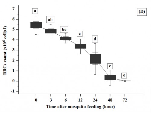 Effect of adult female <em>Culex</em> age on temporal pattern of degradation of RBCs in human blood drawn from mosquito with adult age (D) 6 days. After blood feeding for 30 minutes, mosquitoes were cultured in 28Â±1 Â°C and RBCs were counted at 0 (immediate count)12 hour after blood ingestion. Error bars represent standard deviations of three measurements. Different letters above error bars represent significant difference among means at type error = 0.05 (ANOVA)