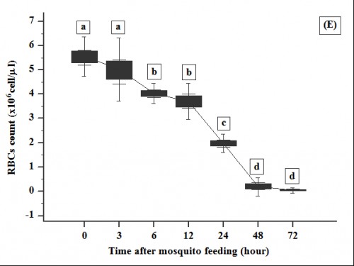 Effect of adult female <em>Culex</em> age on temporal pattern of degradation of RBCs in human blood drawn frommosquito with adult age (E) 8 days. After blood feeding for 30 minutes, mosquitoes were cultured in 28Â±1 Â°C and RBCs were counted at 0 (immediate count)24 hour after blood ingestion. Error bars represent standard deviations of three measurements. Different letters above error bars represent significant difference among means at type error = 0.05 (ANOVA)