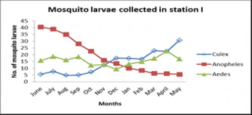 Monthly variation in the diversity of mosquito larvae in station 1