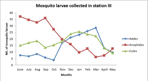 Monthly variation in the diversity of mosquito larvae in station 3