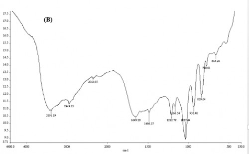 FT-IR spectra of loaded <strong>(B)</strong> capsules with temephos.