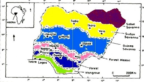 A map of Nigeria showing the six ecological Zones. Dark orchid represents Sahel savanna, Yellow represents Sudan savanna, Royal blue represents Guinea savanna, Pink represents Forest mosaic, Blue represents Forest whilst Green represents Mangrove. Adopted and modified from <sup>[53]</sup>.