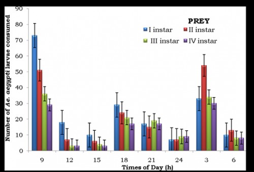 Impact of prey density on the predatory potential of 12<sup>th</sup> instar<em> Bradinopyga geminata </em>recorded at three hours interval (200 larvae / 1 predator)