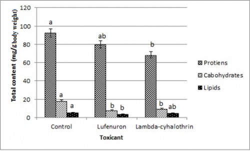 Total protein, carbohydrate and lipid content of <em>Cx. pipiens</em> late third-instar larvae 24 h post-treatment with the LC<sub>50</sub> of lambda-cyhalothrin (0.045 ppm) and lufenuron (0.025 ppm). Different letters above the bars (SE) indicate significant differences (<em>P</em> < 0.05); using Duncan’s multiple range test