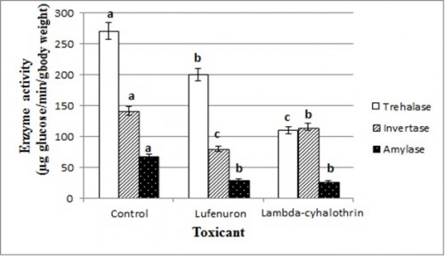 Trehalase, invertase and amylase activity of <em>Cx. pipiens</em> late third-instar larvae 24 h post-treatment with the LC<sub>50</sub> of lambda-cyhalothrin (0.045 ppm) and lufenuron (0.025 ppm). Different letters above the bars (SE) indicate significant differences (<em>P</em> < 0.05); using Duncan’s multiple range test