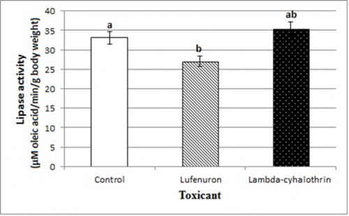 Lipase activity of <em>Cx. pipiens</em> late third-instar larvae 24 h post-treatment with the LC<sub>50</sub> of lambda-cyhalothrin (0.045 ppm) and lufenuron (0.025 ppm). Different letters above the bars (SE) indicate significant differences (<em>P</em> < 0.05); using Duncan’s multiple range test.