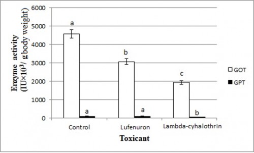 Glutamic oxaloacetic acid transaminase (GOT) and glutamic pyruvic acid transaminase (GPT) activity of <em>Cx. pipiens</em> late third-instar larvae 24 h post-treatment with the LC<sub>50</sub> of lambda-cyhalothrin (0.045 ppm) and lufenuron (0.025 ppm). Different letters above the bars (SE) indicate significant differences (<em>P</em> < 0.05); using Duncan’s multiple range test; IU: international unit.