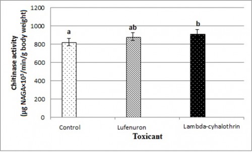 Chitinase activity of <em>Cx. pipiens</em> late third-instar larvae 24 h post-treatment with the LC<sub>50</sub> of lambda-cyhalothrin (0.045 ppm) and lufenuron (0.025 ppm). Different letters above the bars (SE) indicate significant differences (<em>P</em> < 0.05); using Duncan’s multiple range test; NAGA: <em>N</em>-acetyl glucosamine