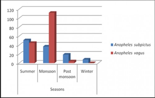 Graphical representation of Sesonal abundance of <em>An .subpictus</em> and <em>An .vagus </em>(Dec 2013-Nov 2014)