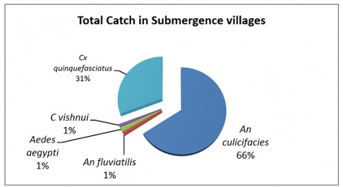 Percentage Proportion of Vector Mosquitoes Observed In Total Catch in Submergence Areas