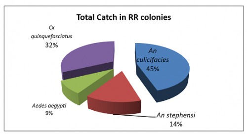 Percentage Proportion of Vector Mosquitoes Observed In Total Catch in RR Colonies