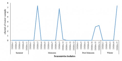 Different bacteria isolated from the breeding water of <em>Aedes</em> sp. in Dehradun